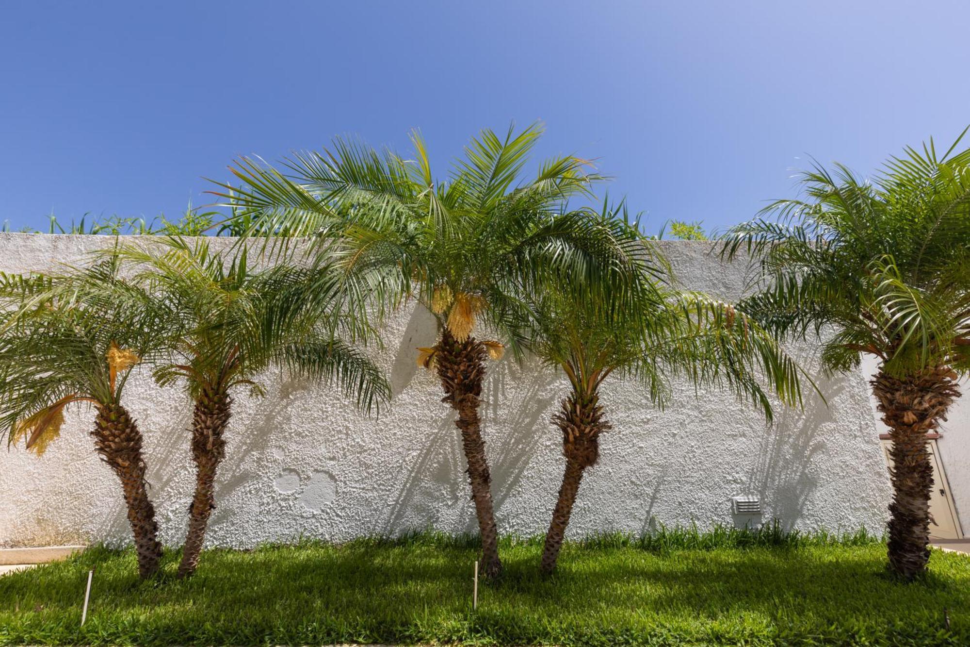 Villa Kore, Capo Vaticano Zewnętrze zdjęcie
